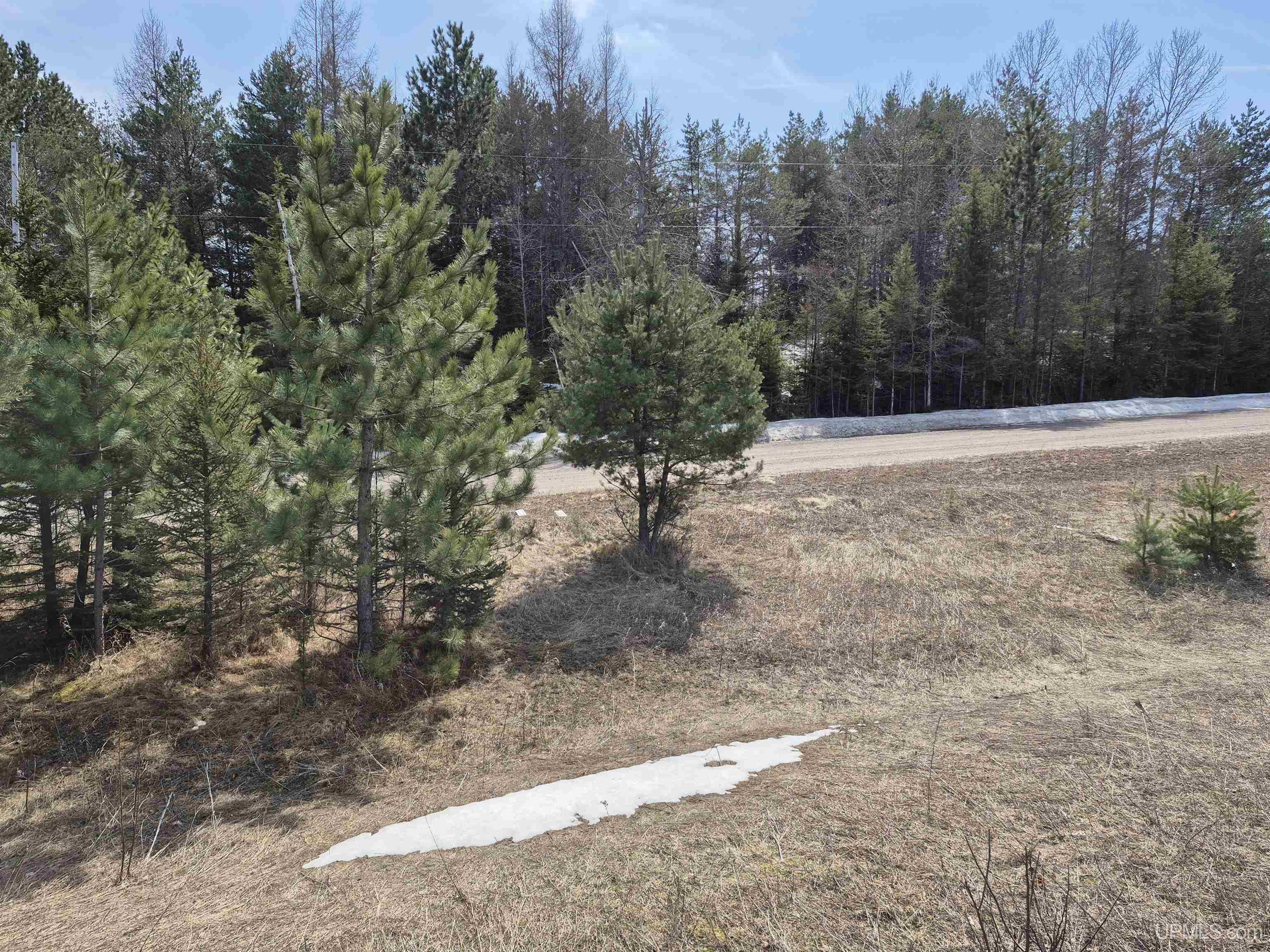 30-acres Turner Road Channing, MI 49815 - Photo 3 of 33