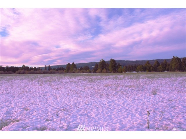12 Pine Ridge Lane Cle Elum, WA 98922 - Photo 10 of 13 Gallery Image 10