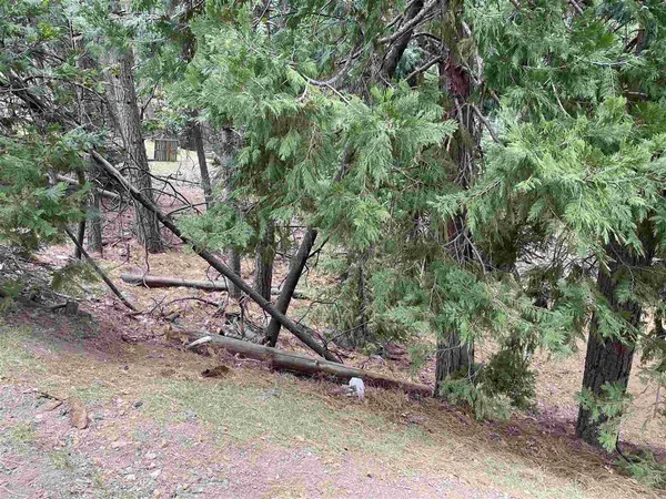 $25,000 | 23999 South Oxbow, Sonora, CA 95370