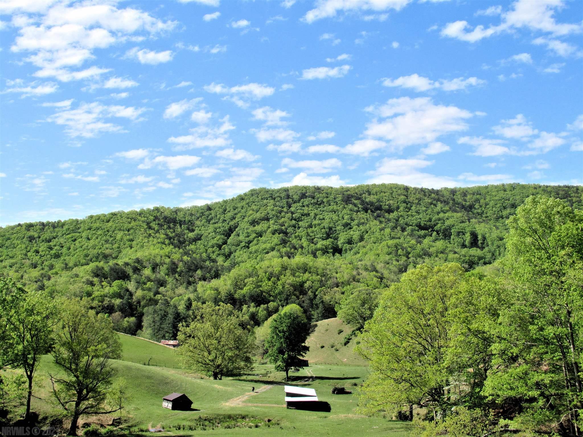8590 Wilderness Road Bland, VA 24315 - Photo 24 of 39 Gallery Image 24