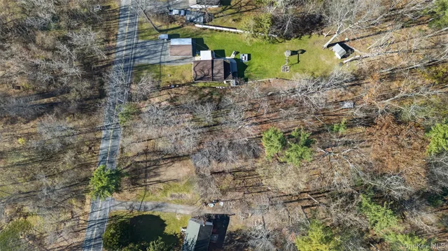a view of a yard with plants and large trees