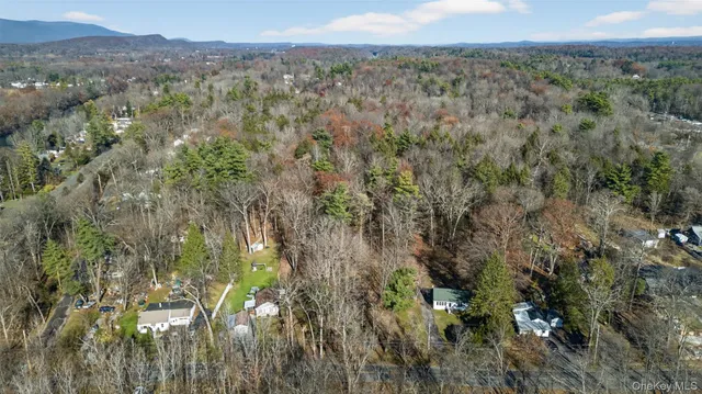 a view of a city with lush green forest