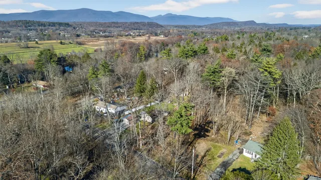 a view of a lush green forest with lush green forest