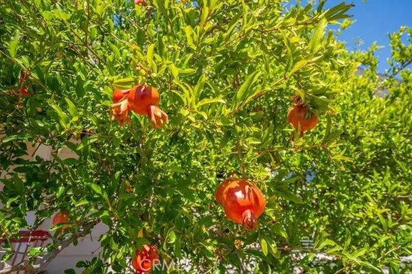 $699,000 | 15125 Kobbuntie, Red Bluff, CA 96080