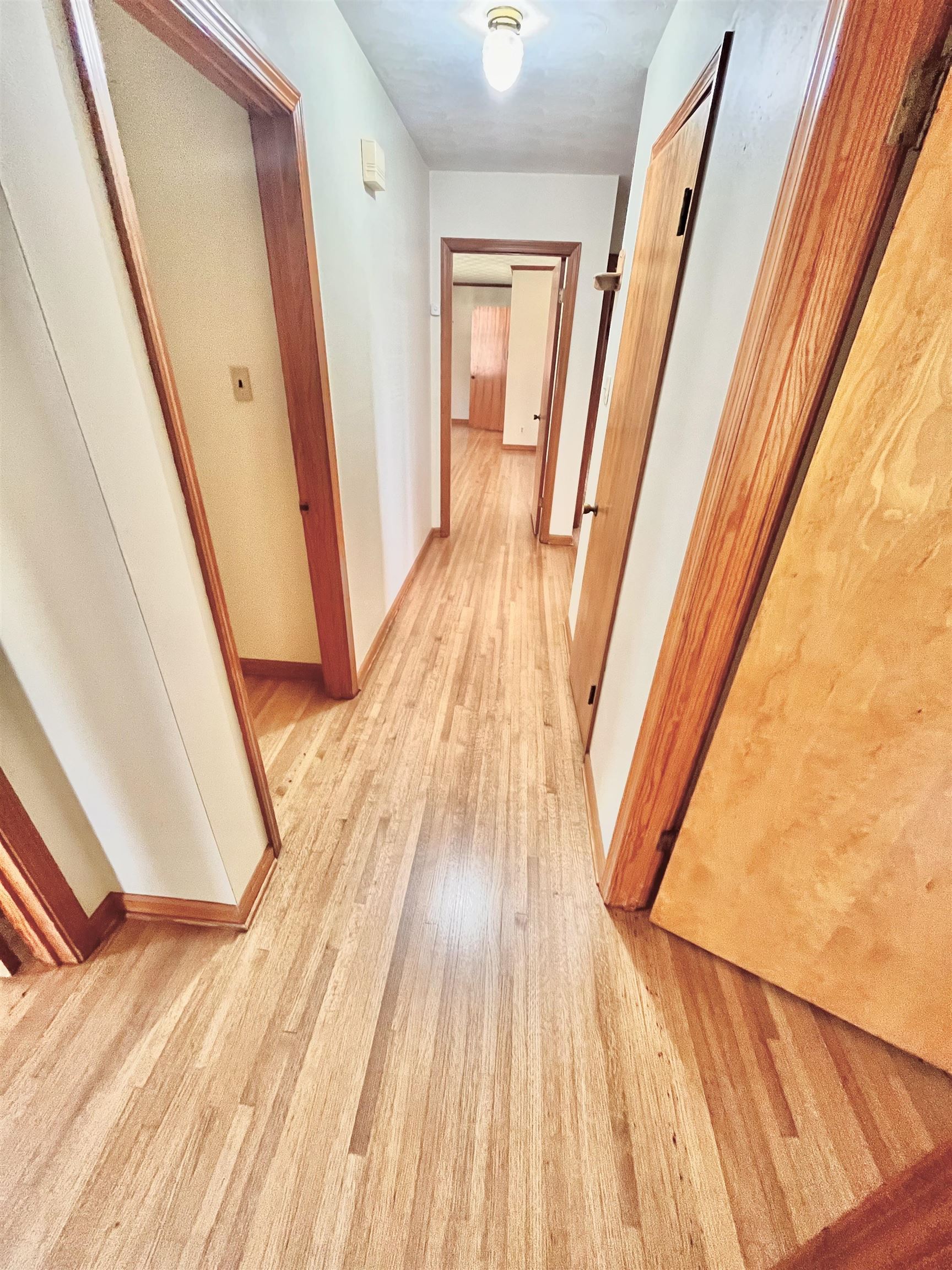 7623 Craft Road Olive Branch, MS 38654 - Photo 15 of 20 Hall featuring gorgeous hardwood floors