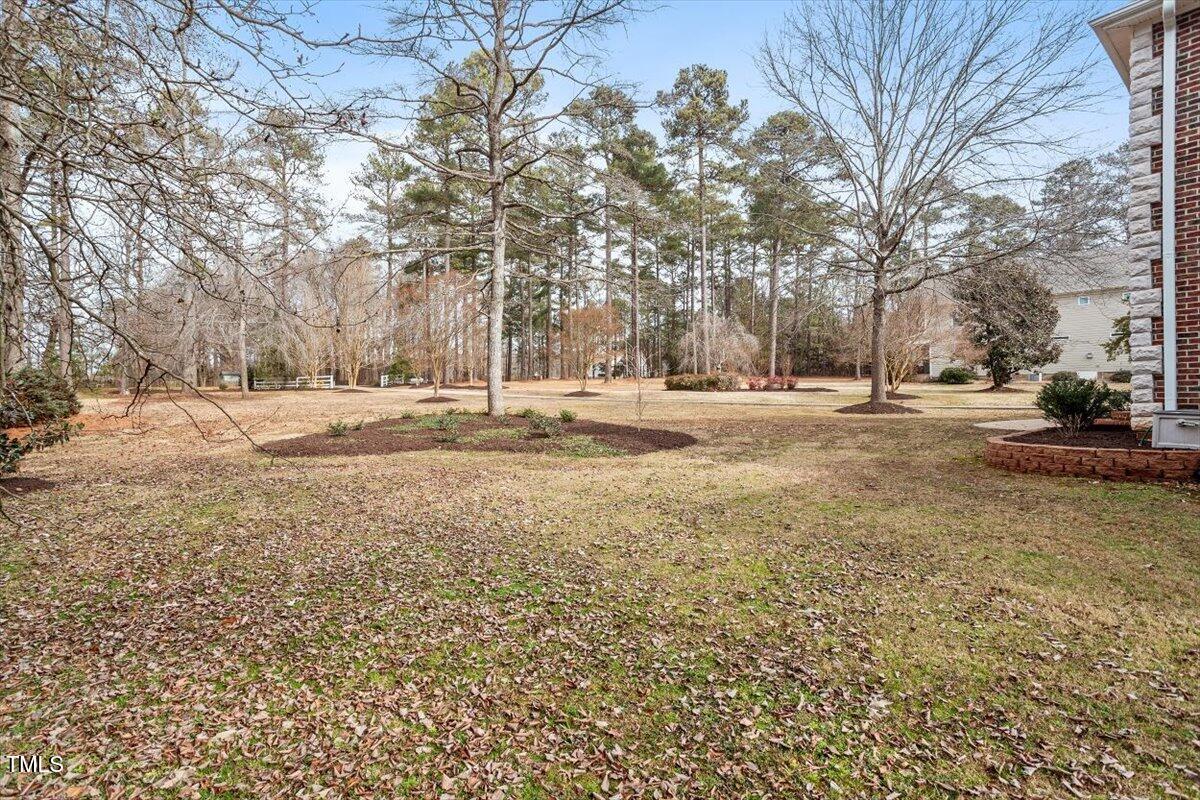 12632 Old Creedmoor Road Raleigh, NC 27613 - Photo 4 of 58 Side yard