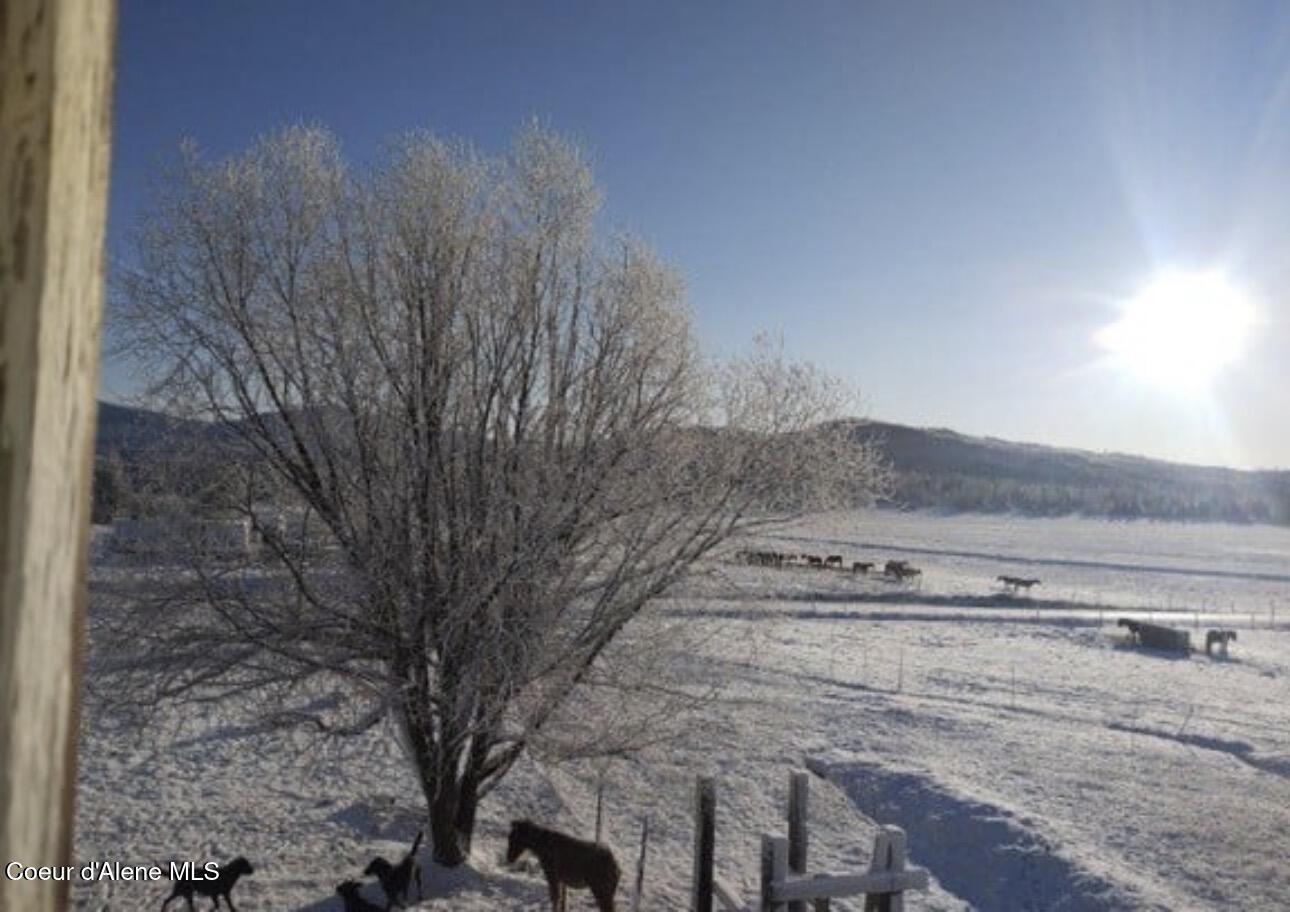 1565 Little Carpenter Creek Road Fernwood, ID 83830 - Photo 27 of 42 IMG_9793