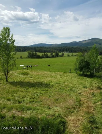 $367,000 | 1565 Little Carpenter Creek Road, Fernwood, ID 83830