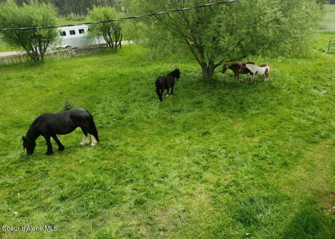 1565 Little Carpenter Creek Road Fernwood, ID 83830 - Photo 30 of 42 photo_2026-01-20_17-59-08