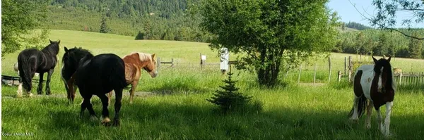 $367,000 | 1565 Little Carpenter Creek Road, Fernwood, ID 83830