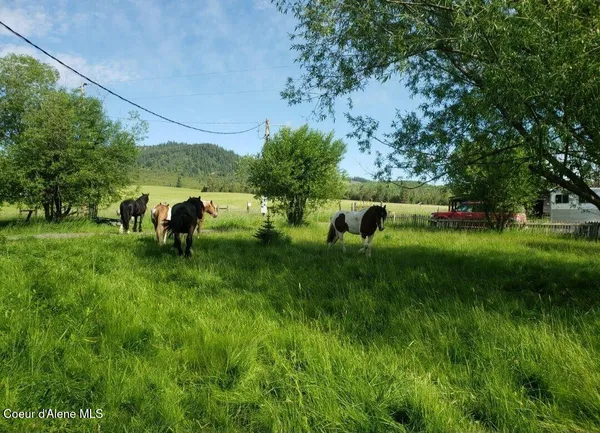 $367,000 | 1565 Little Carpenter Creek Road, Fernwood, ID 83830