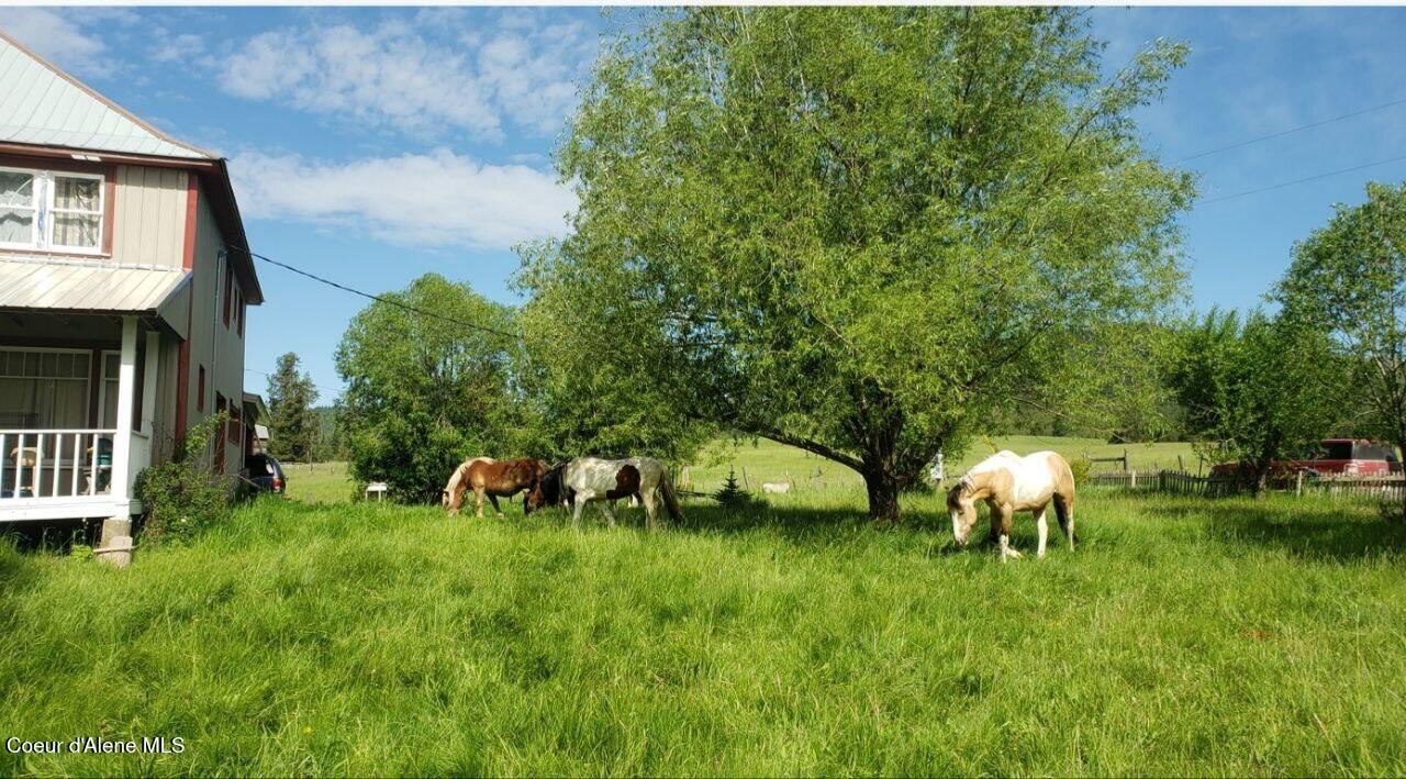 1565 Little Carpenter Creek Road Fernwood, ID 83830 - Photo 33 of 42 photo_2026-01-20_17-59-27
