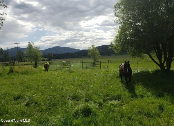 $367,000 | 1565 Little Carpenter Creek Road, Fernwood, ID 83830