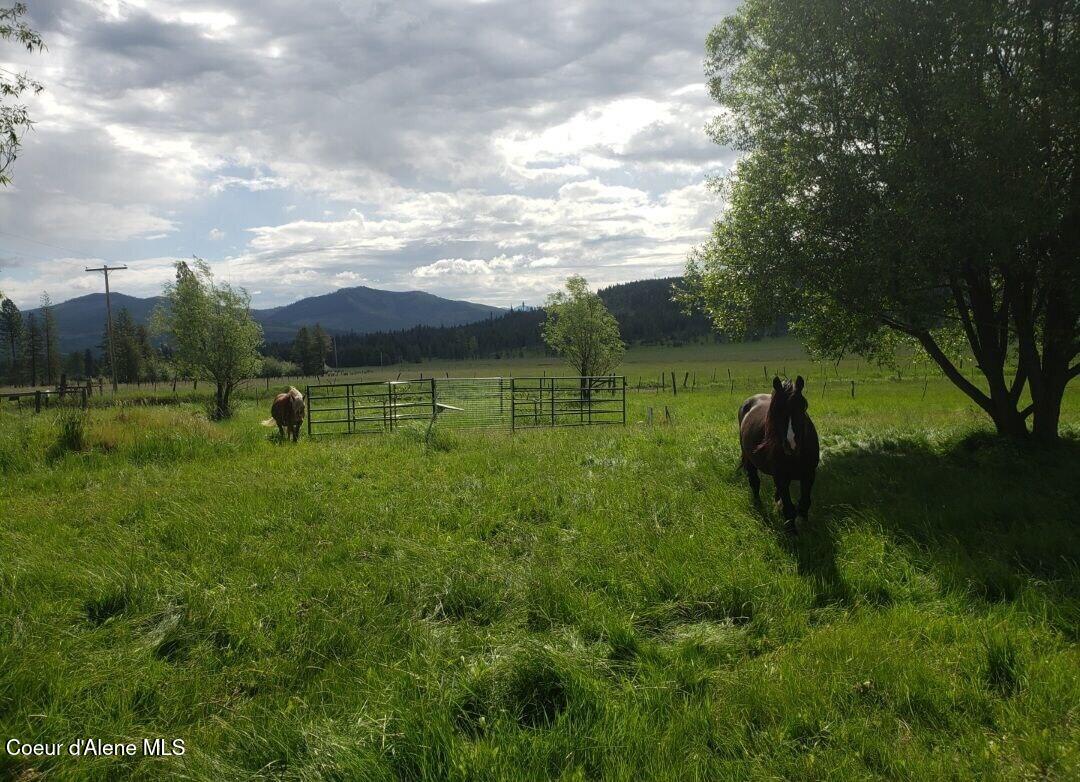1565 Little Carpenter Creek Road Fernwood, ID 83830 - Photo 34 of 40 photo_2026-01-20_17-59-39
