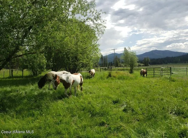 $367,000 | 1565 Little Carpenter Creek Road, Fernwood, ID 83830