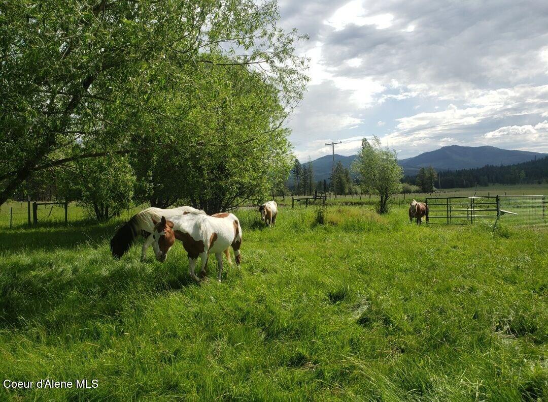 1565 Little Carpenter Creek Road Fernwood, ID 83830 - Photo 37 of 42 photo_2026-01-20_17-59-43