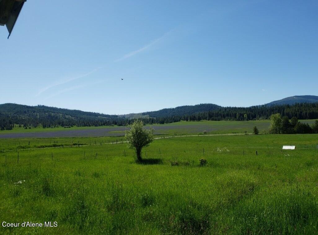 1565 Little Carpenter Creek Road Fernwood, ID 83830 - Photo 38 of 42 photo_2026-01-20_17-59-46