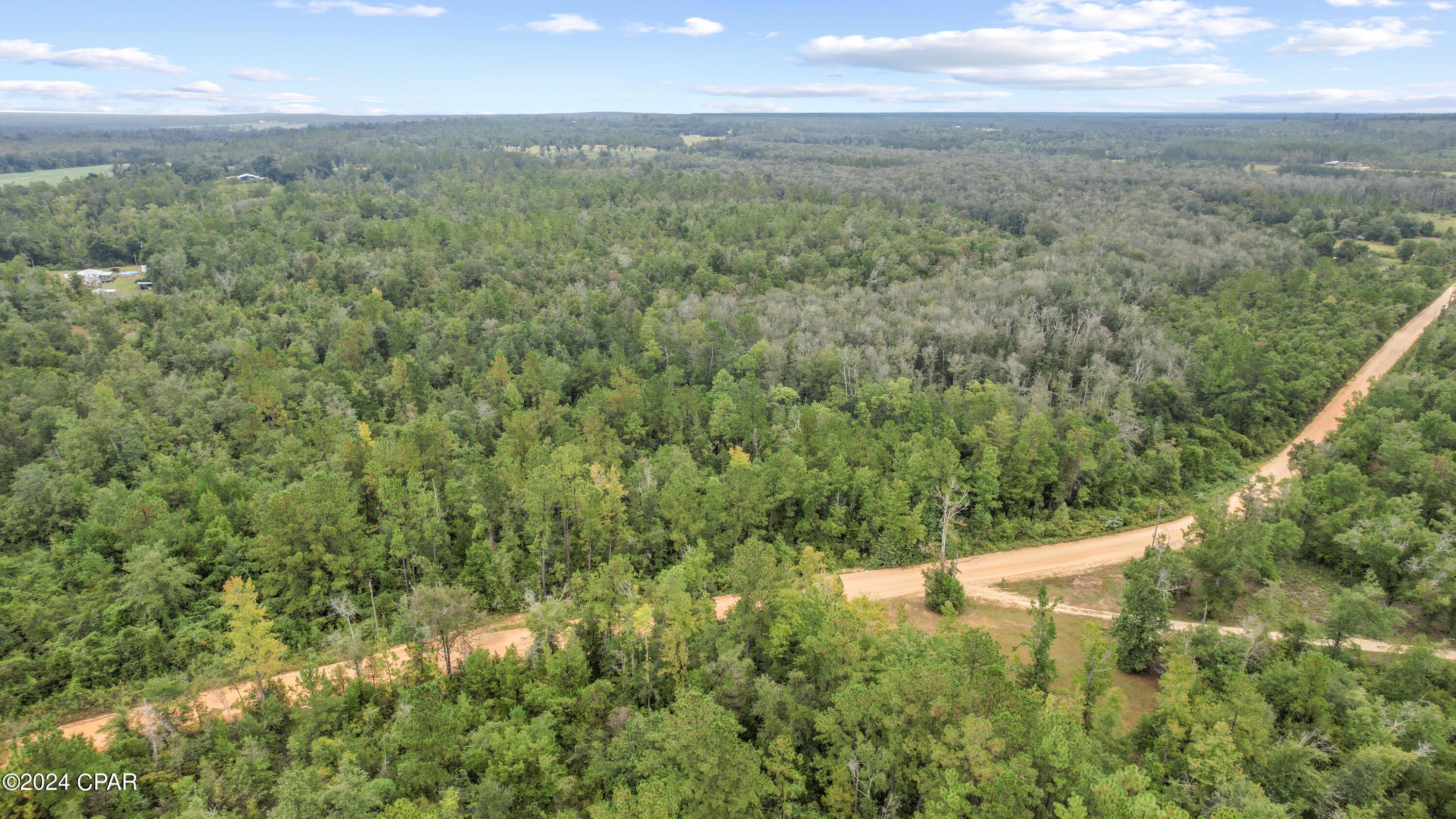 0 Pike Pond Road Chipley, FL 32428 - Photo 4 of 12 Gallery Image 4
