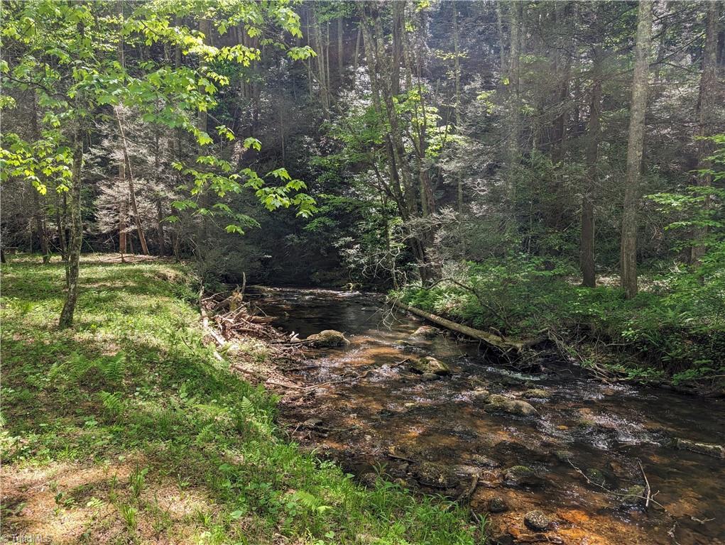 0 Luffman Road Dobson, NC 27017 - Photo 1 of 46 Butler Creek