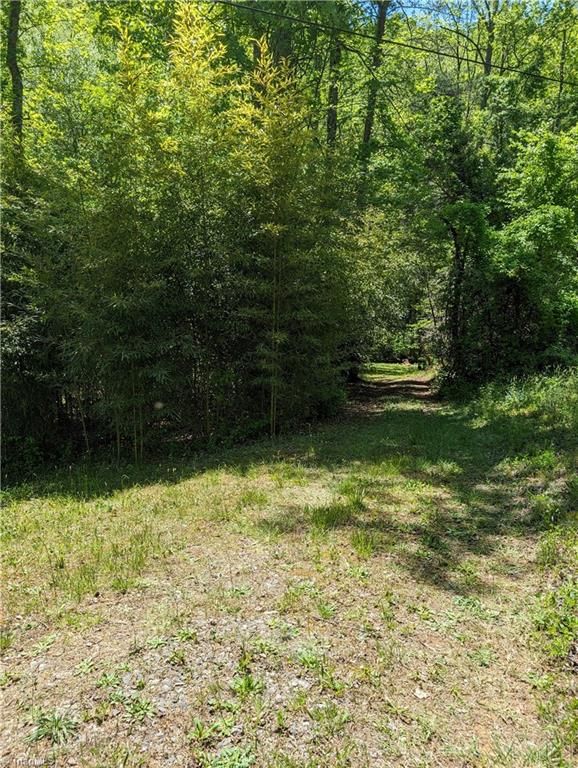 0 Luffman Road Dobson, NC 27017 - Photo 2 of 46 Driveway into property