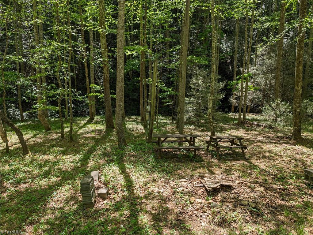 0 Luffman Road Dobson, NC 27017 - Photo 24 of 46 Gallery Image 24