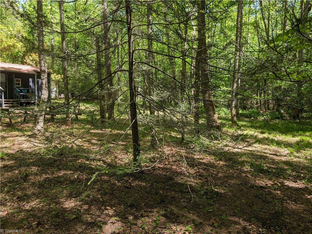 0 Luffman Road Dobson, NC 27017 - Photo 30 of 46 Gallery Image 30