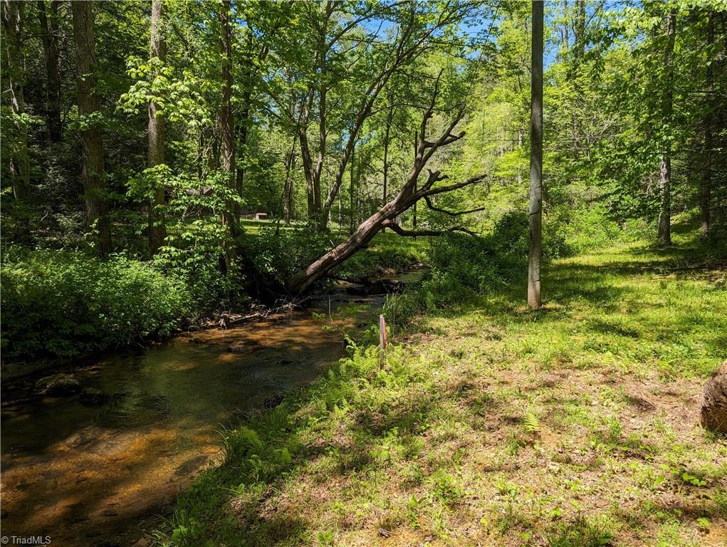 0 Luffman Road Dobson, NC 27017 - Photo 3 of 46 Gallery Image 3