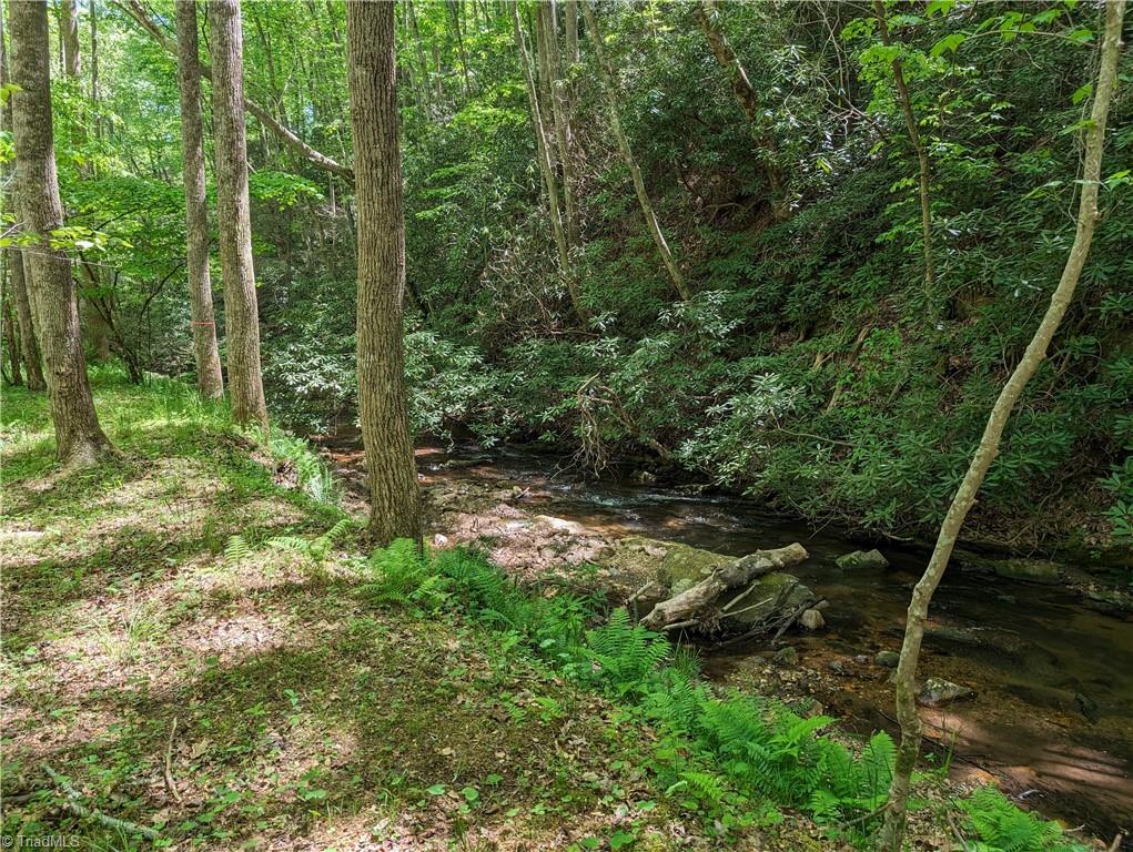 0 Luffman Road Dobson, NC 27017 - Photo 32 of 46 Gallery Image 32