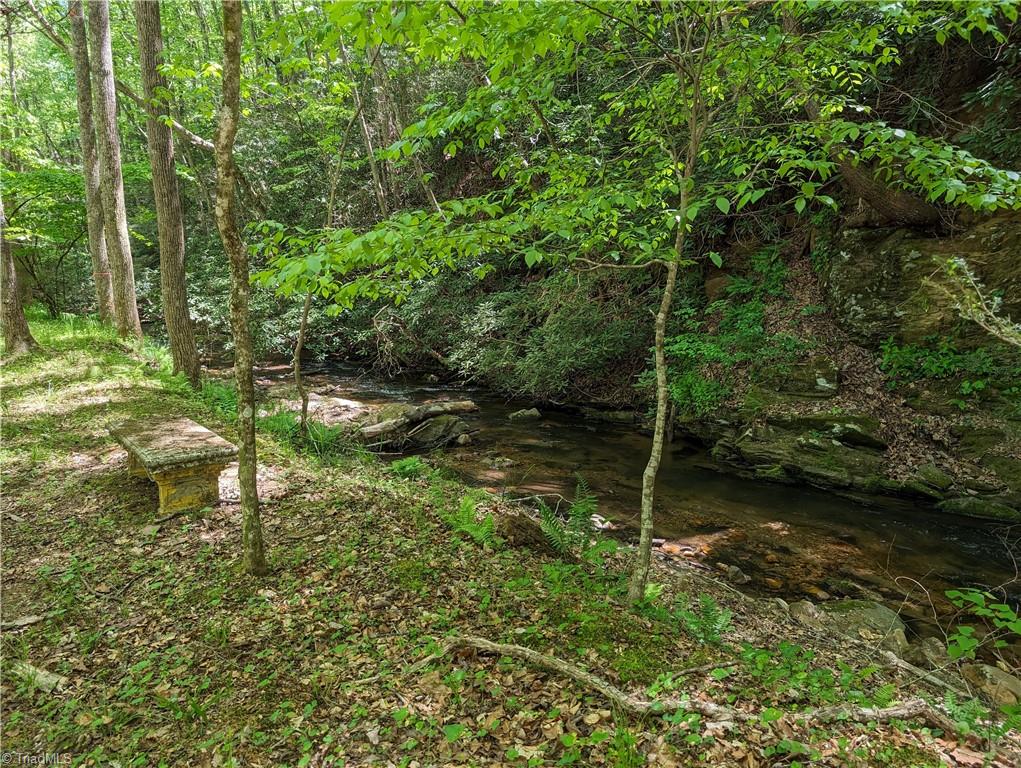 0 Luffman Road Dobson, NC 27017 - Photo 34 of 46 Gallery Image 34