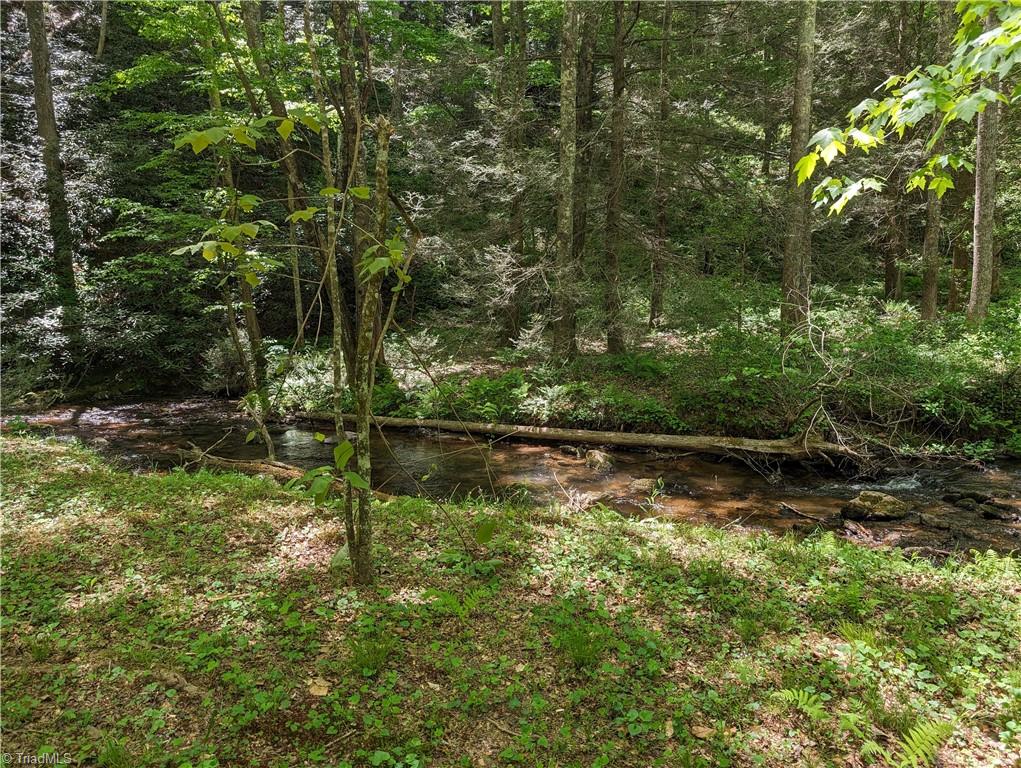 0 Luffman Road Dobson, NC 27017 - Photo 35 of 46 Gallery Image 35