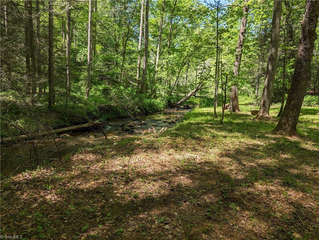 0 Luffman Road Dobson, NC 27017 - Photo 36 of 46 Gallery Image 36