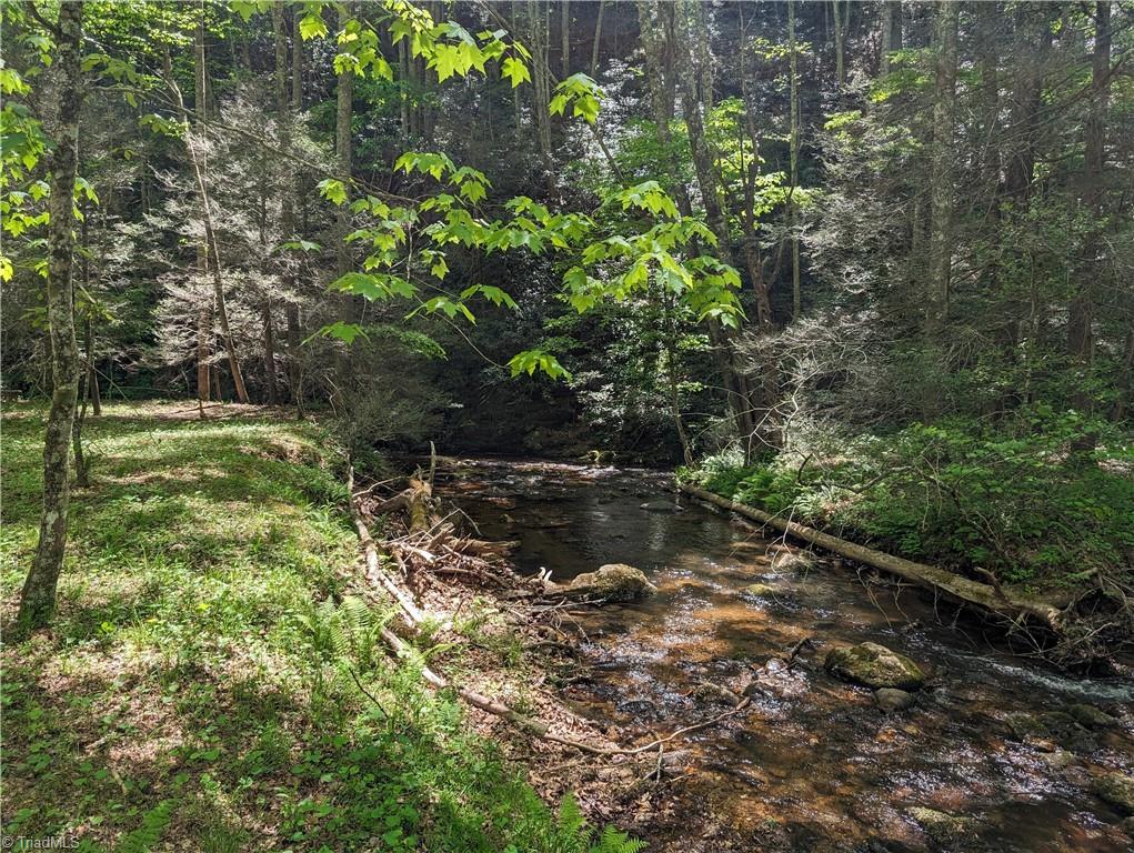0 Luffman Road Dobson, NC 27017 - Photo 41 of 46 Gallery Image 41