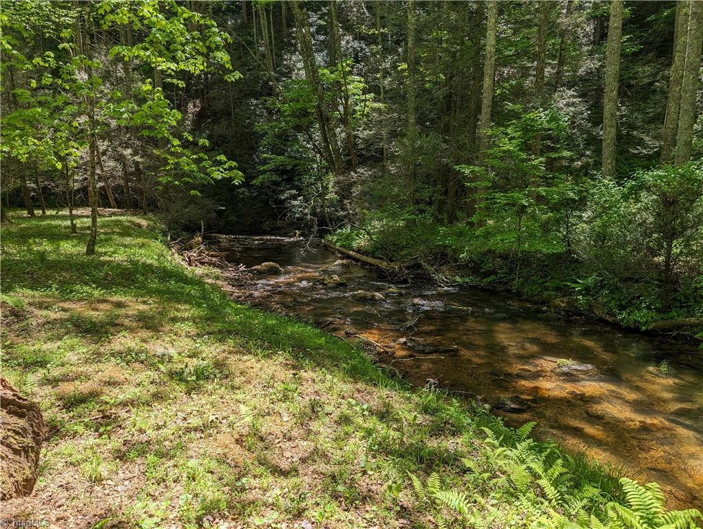 0 Luffman Road Dobson, NC 27017 - Photo 42 of 46 Gallery Image 42