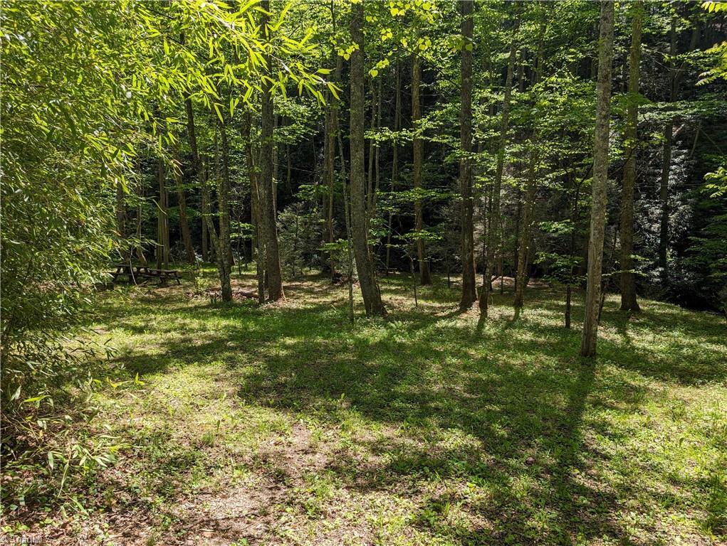 0 Luffman Road Dobson, NC 27017 - Photo 45 of 46 Gallery Image 45