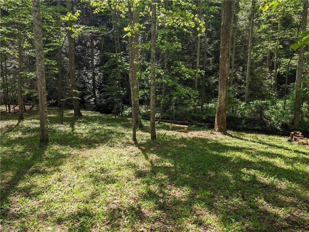 0 Luffman Road Dobson, NC 27017 - Photo 46 of 46 Gallery Image 46