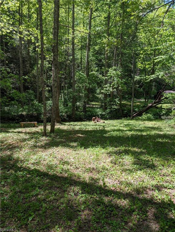 0 Luffman Road Dobson, NC 27017 - Photo 8 of 46 Gallery Image 8