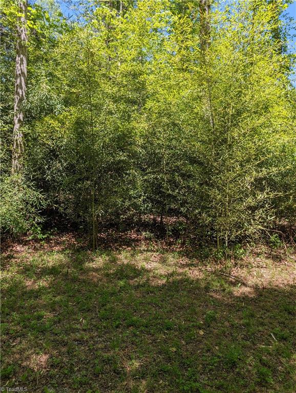 0 Luffman Road Dobson, NC 27017 - Photo 9 of 46 Gallery Image 9