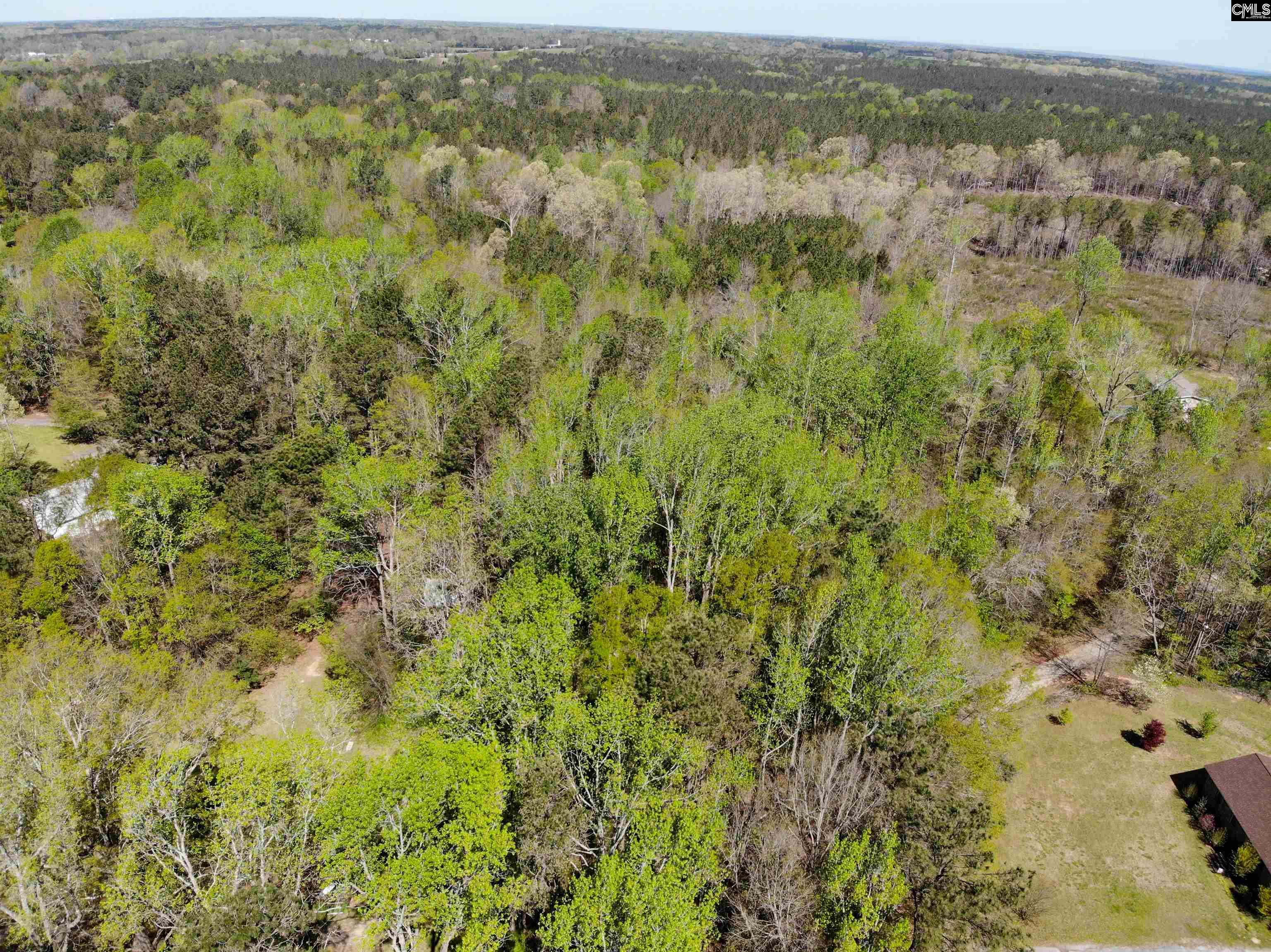 Tbd James Road Joanna, SC 29351 - Photo 23 of 82