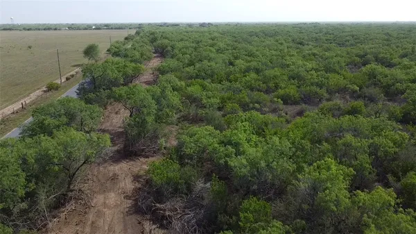 $300,000 | 231 County Road, Falfurrias, TX 78355