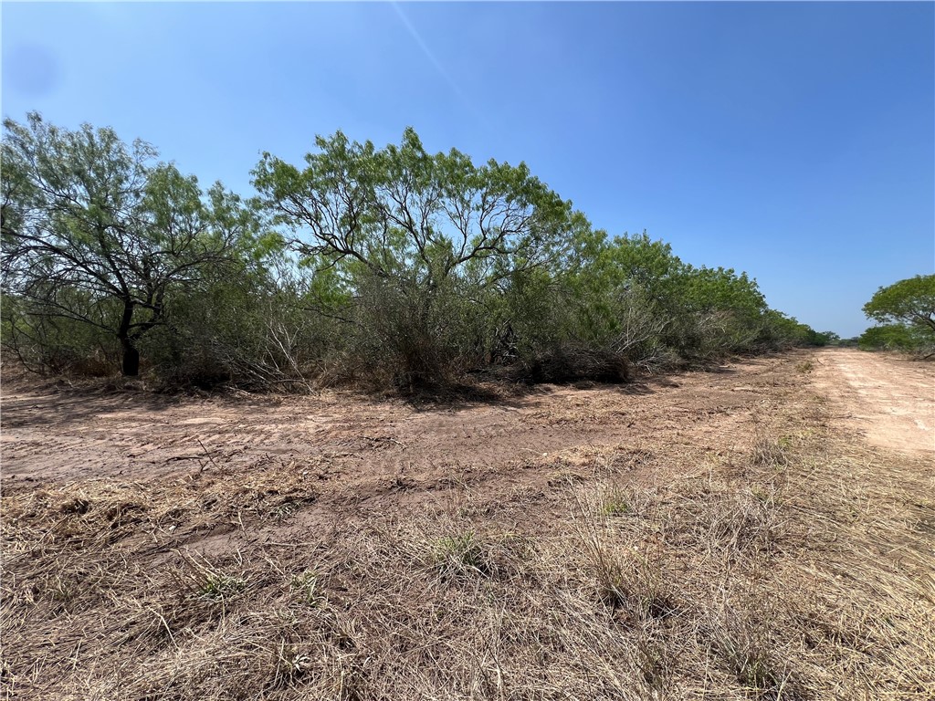 231 County Road Falfurrias, TX 78355 - Photo 2 of 9