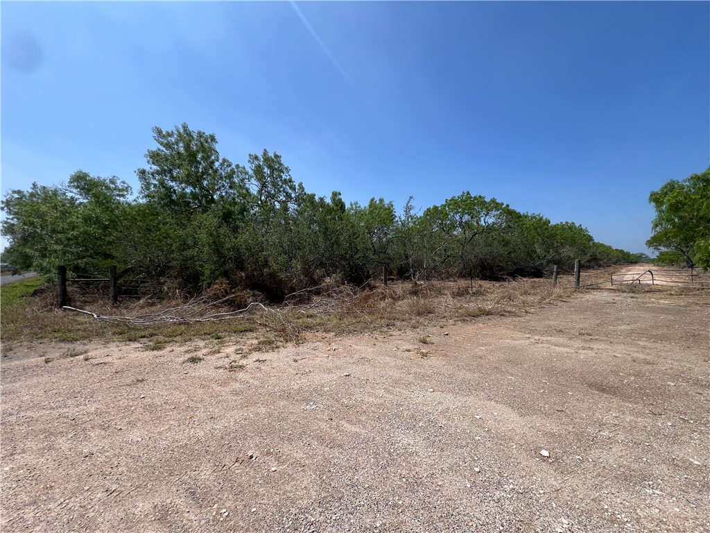 231 County Road Falfurrias, TX 78355 - Photo 3 of 9