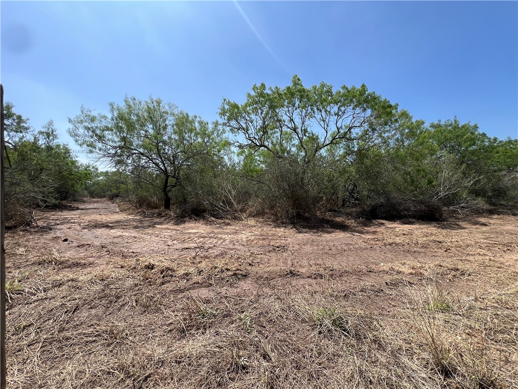 231 County Road Falfurrias, TX 78355 - Photo 4 of 9