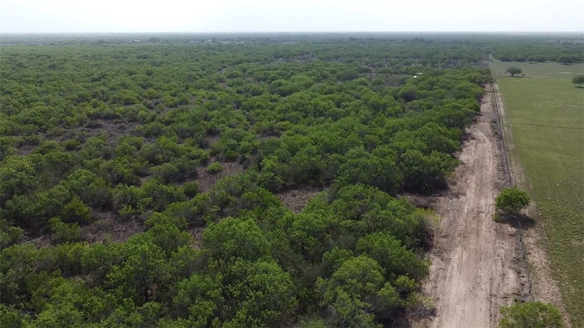 231 County Road Falfurrias, TX 78355 - Photo 7 of 9