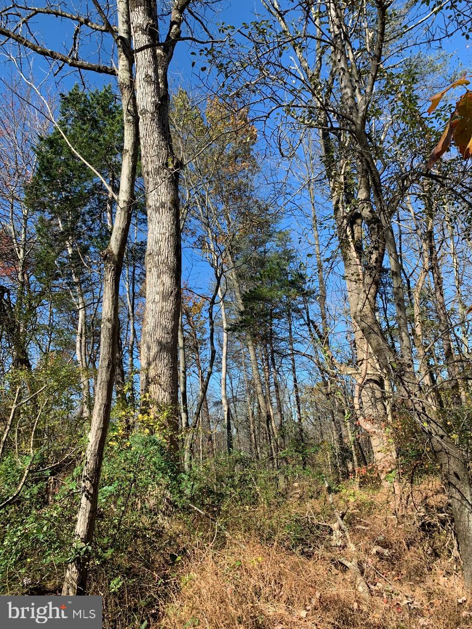0 Hiffletrayer Road Green Lane, PA 18054 - Photo 2 of 9