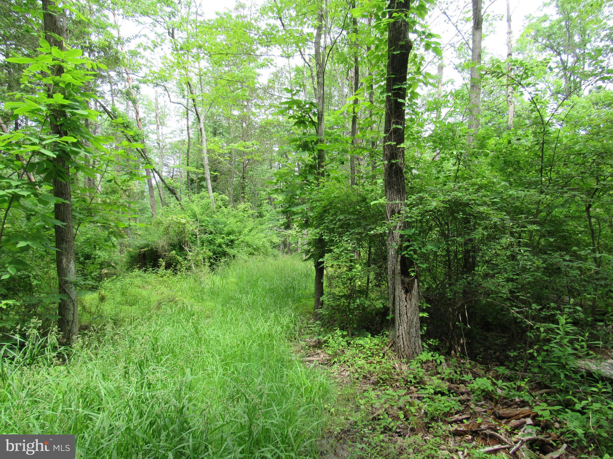 0 Hiffletrayer Road Green Lane, PA 18054 - Photo 3 of 9