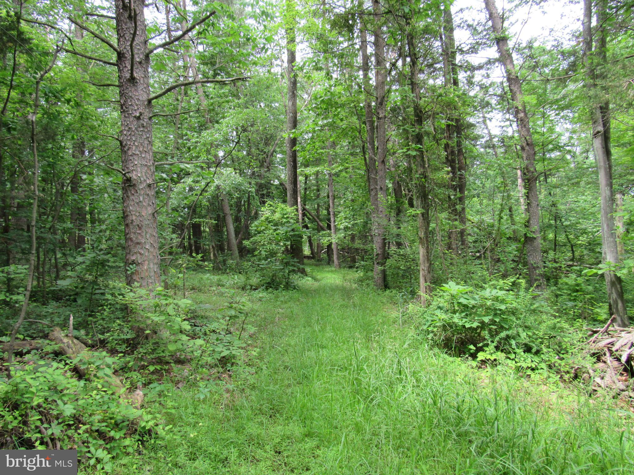 0 Hiffletrayer Road Green Lane, PA 18054 - Photo 4 of 9