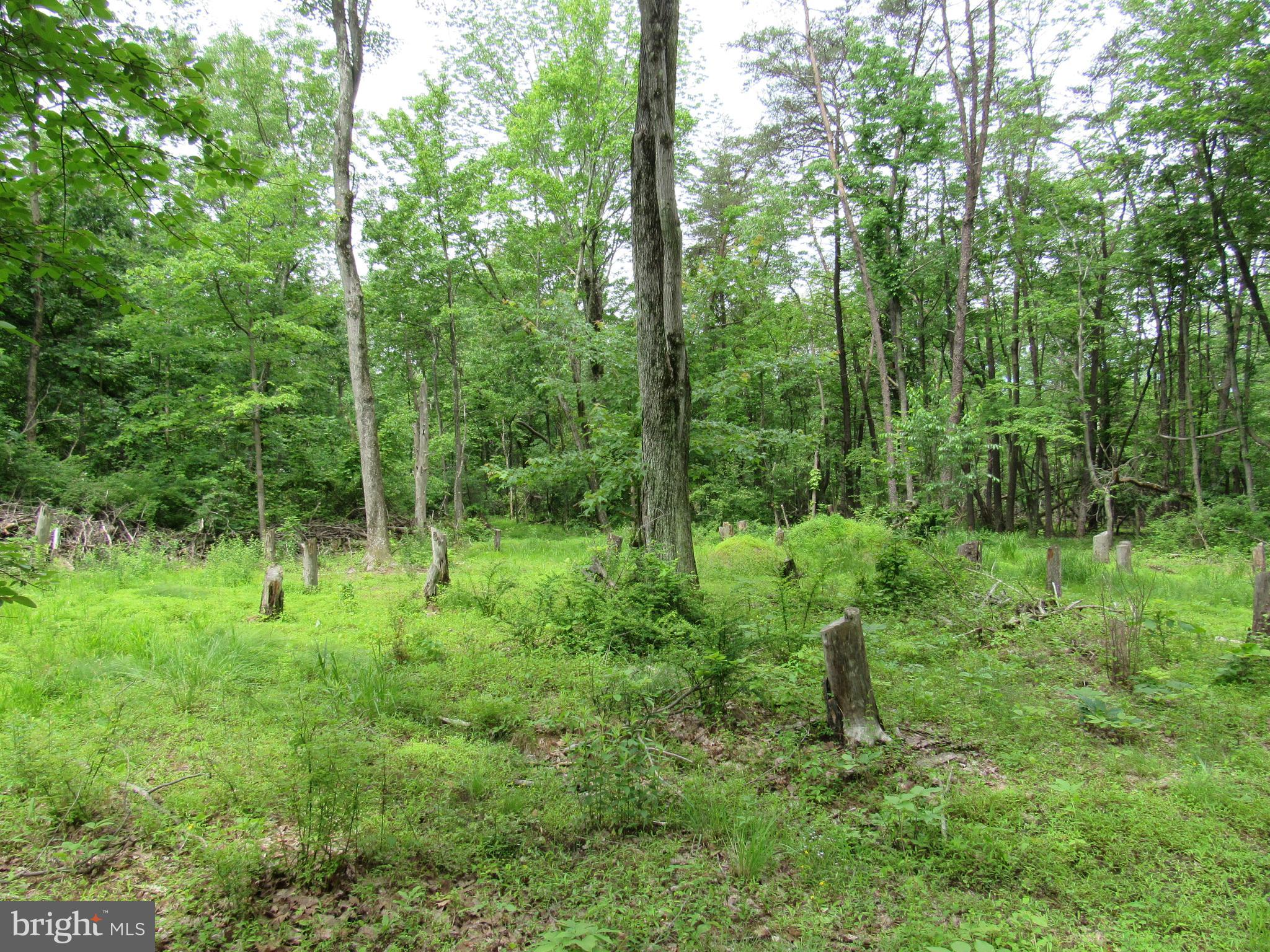 0 Hiffletrayer Road Green Lane, PA 18054 - Photo 5 of 9