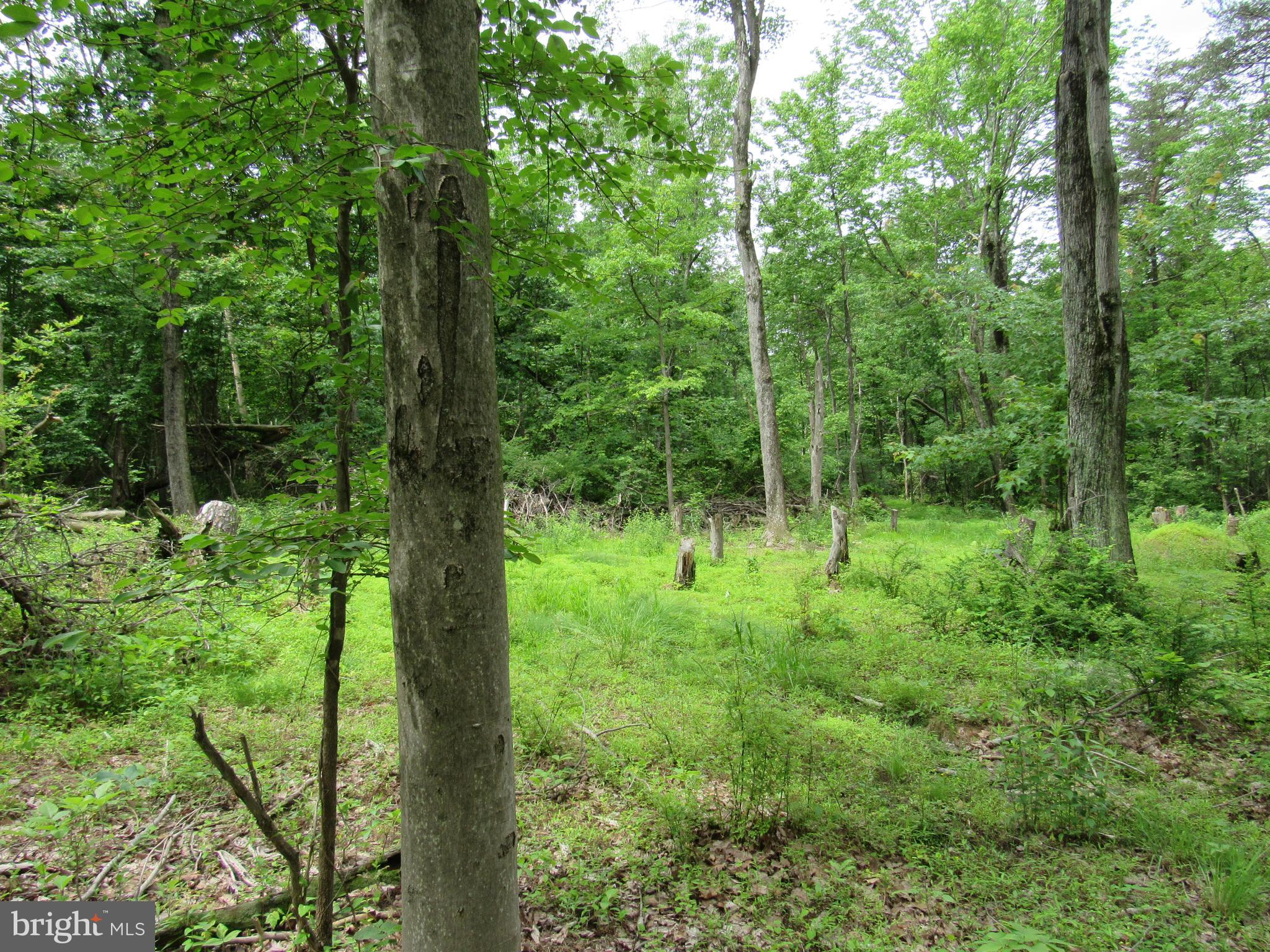 0 Hiffletrayer Road Green Lane, PA 18054 - Photo 6 of 9