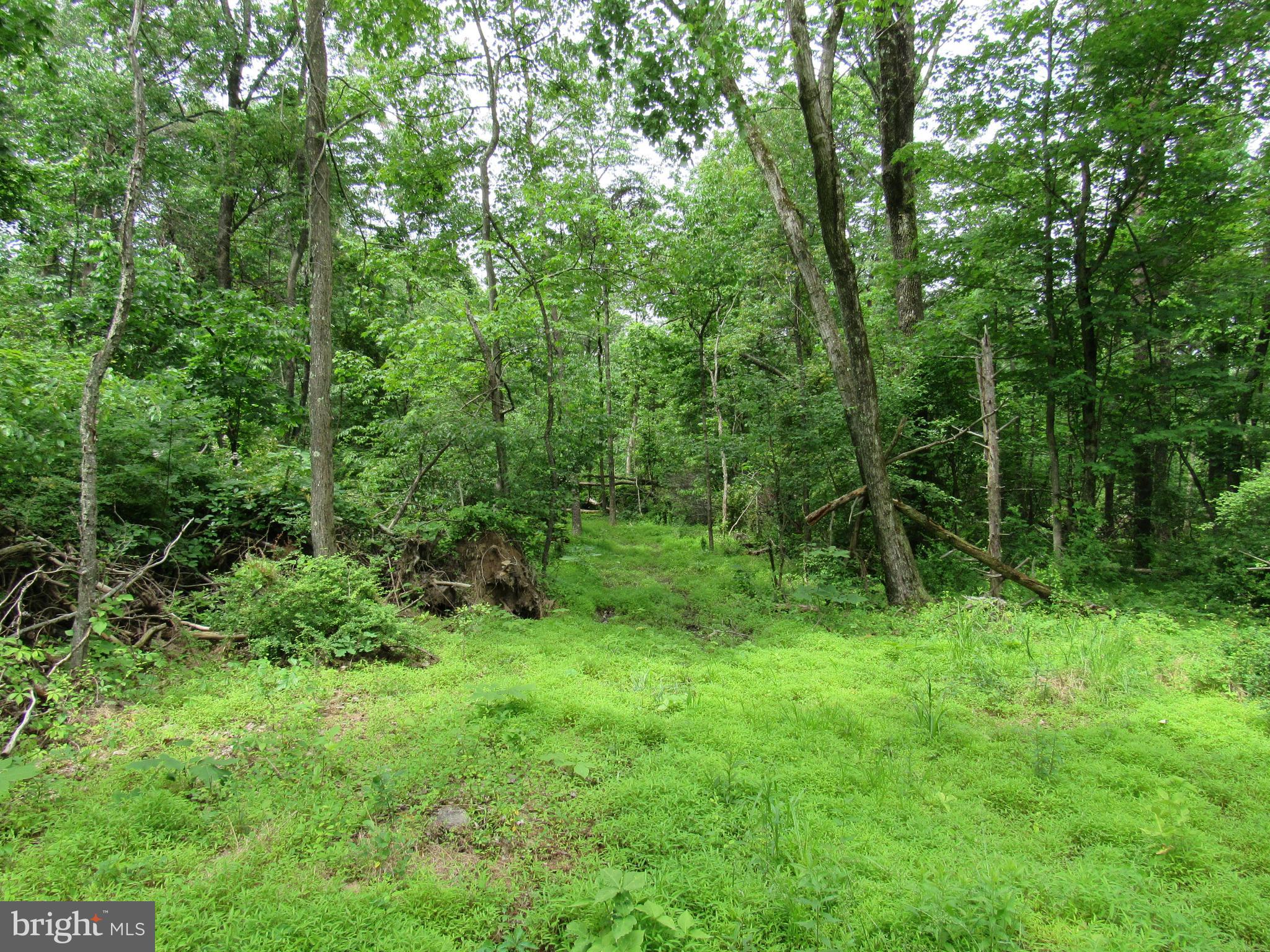 0 Hiffletrayer Road Green Lane, PA 18054 - Photo 8 of 9