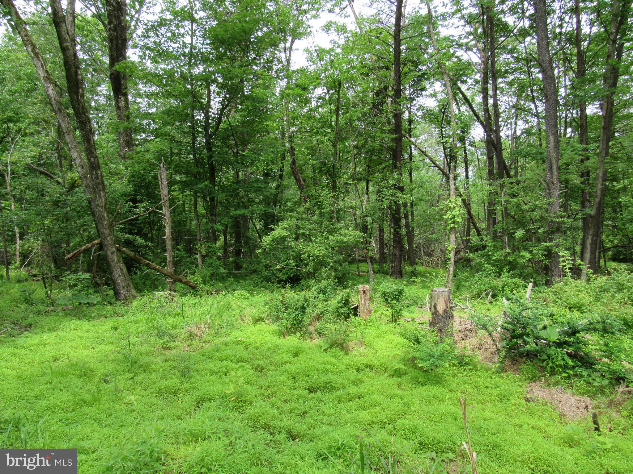 0 Hiffletrayer Road Green Lane, PA 18054 - Photo 9 of 9